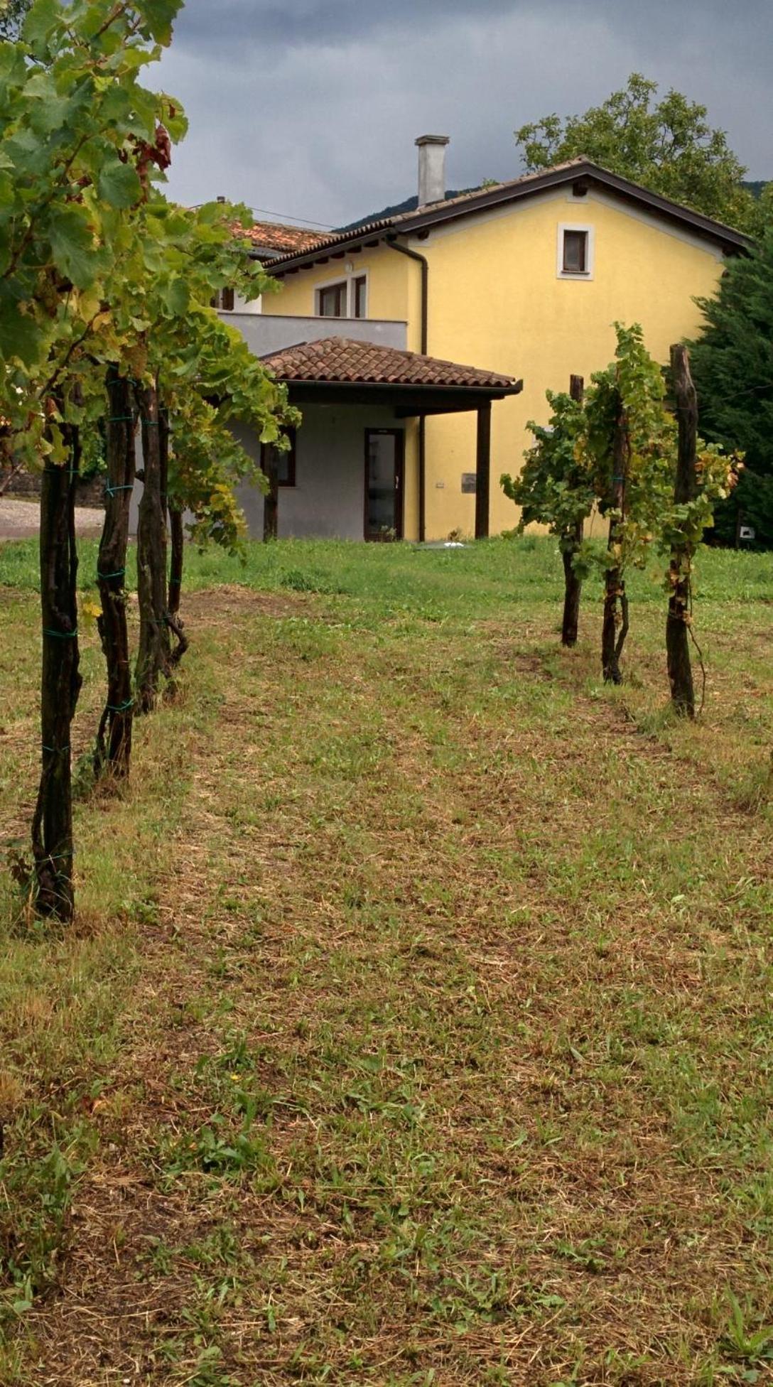 Small House In Vipava Valley מראה חיצוני תמונה