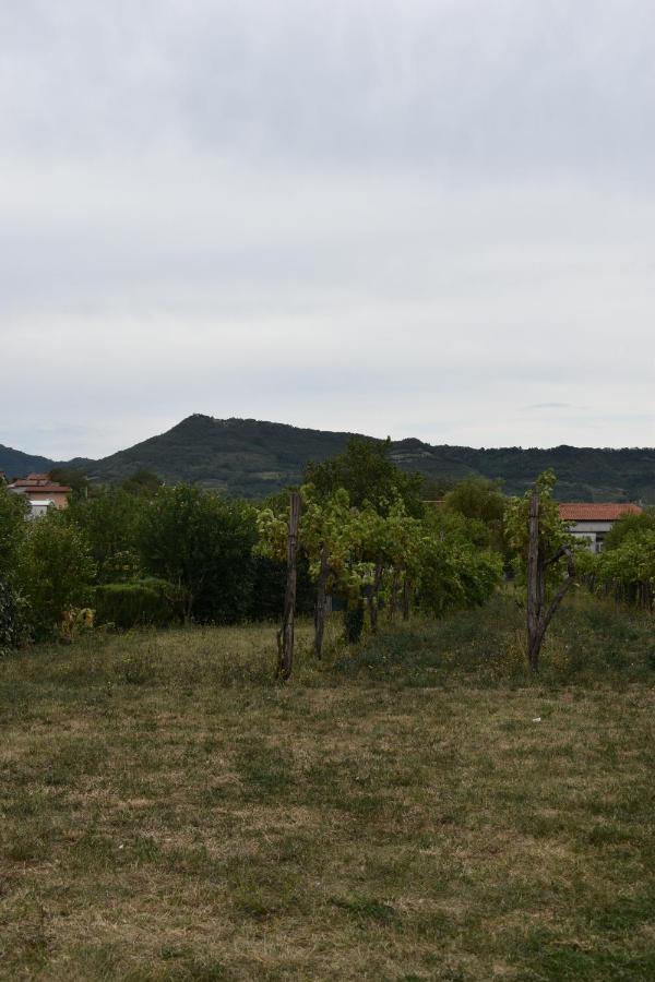 Small House In Vipava Valley מראה חיצוני תמונה